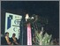 [thumbnail of 46G_ACCA Graduation_27 March 2004_0006.jpg]